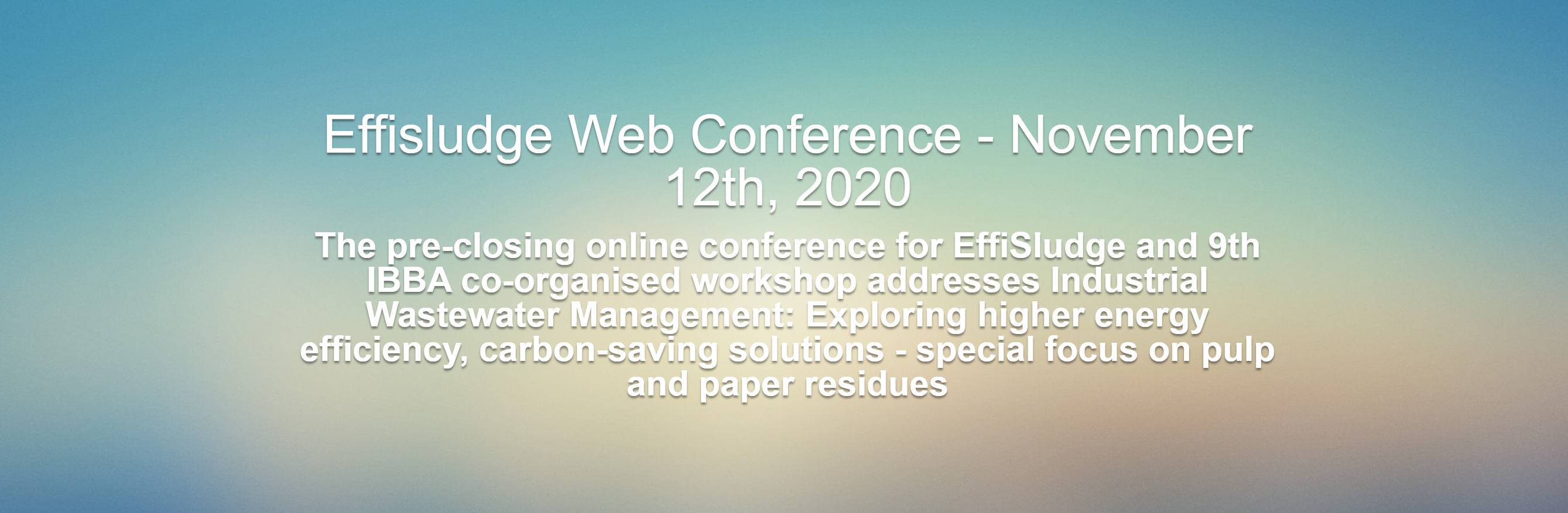 Effisludge Web Conference November 12th, 2020 - Program