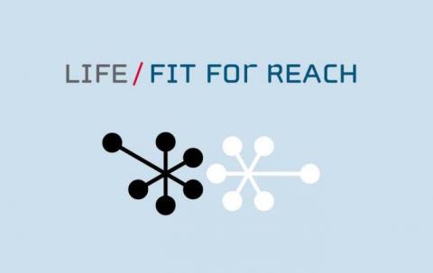 LIFE fit for REACH