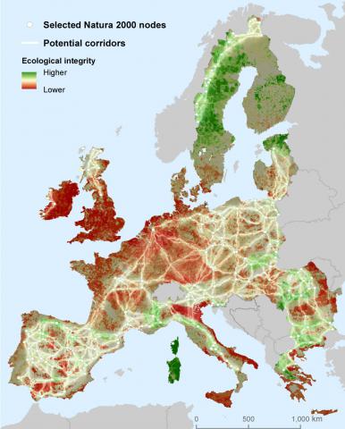 map of trans-european connectivity nature network