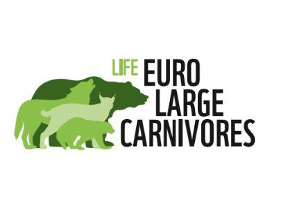 vectorial image carnivores in green