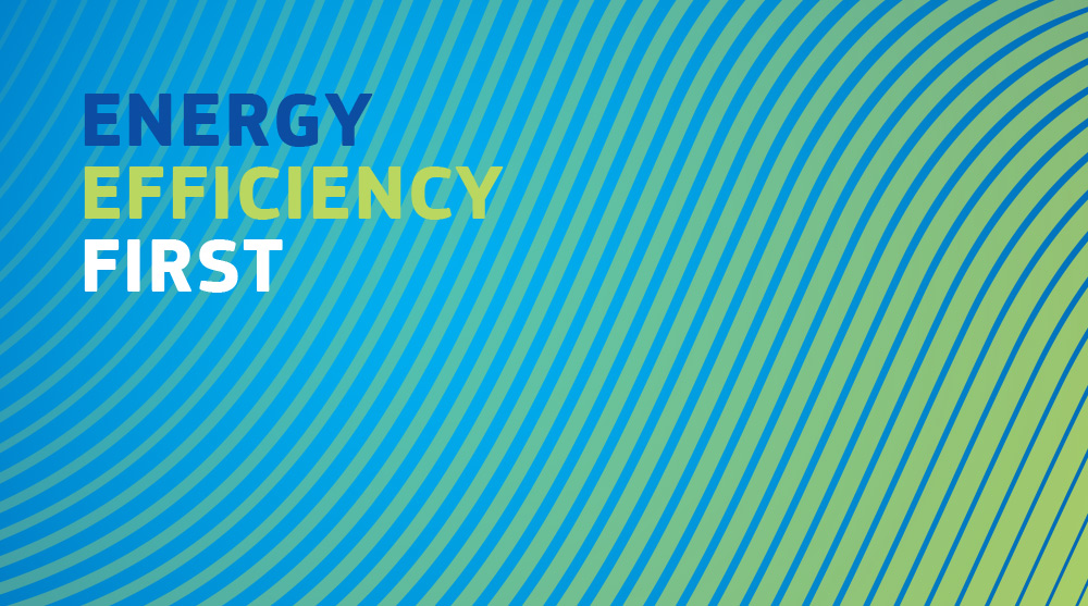 Energy Efficiency First