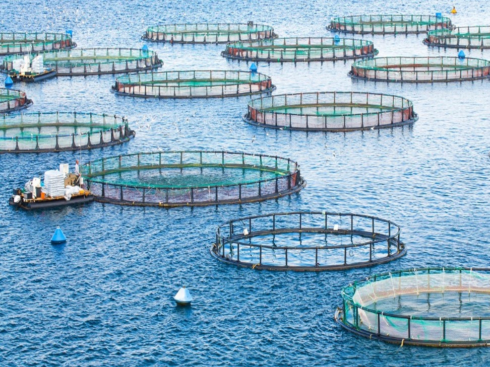 sustainable aquaculture