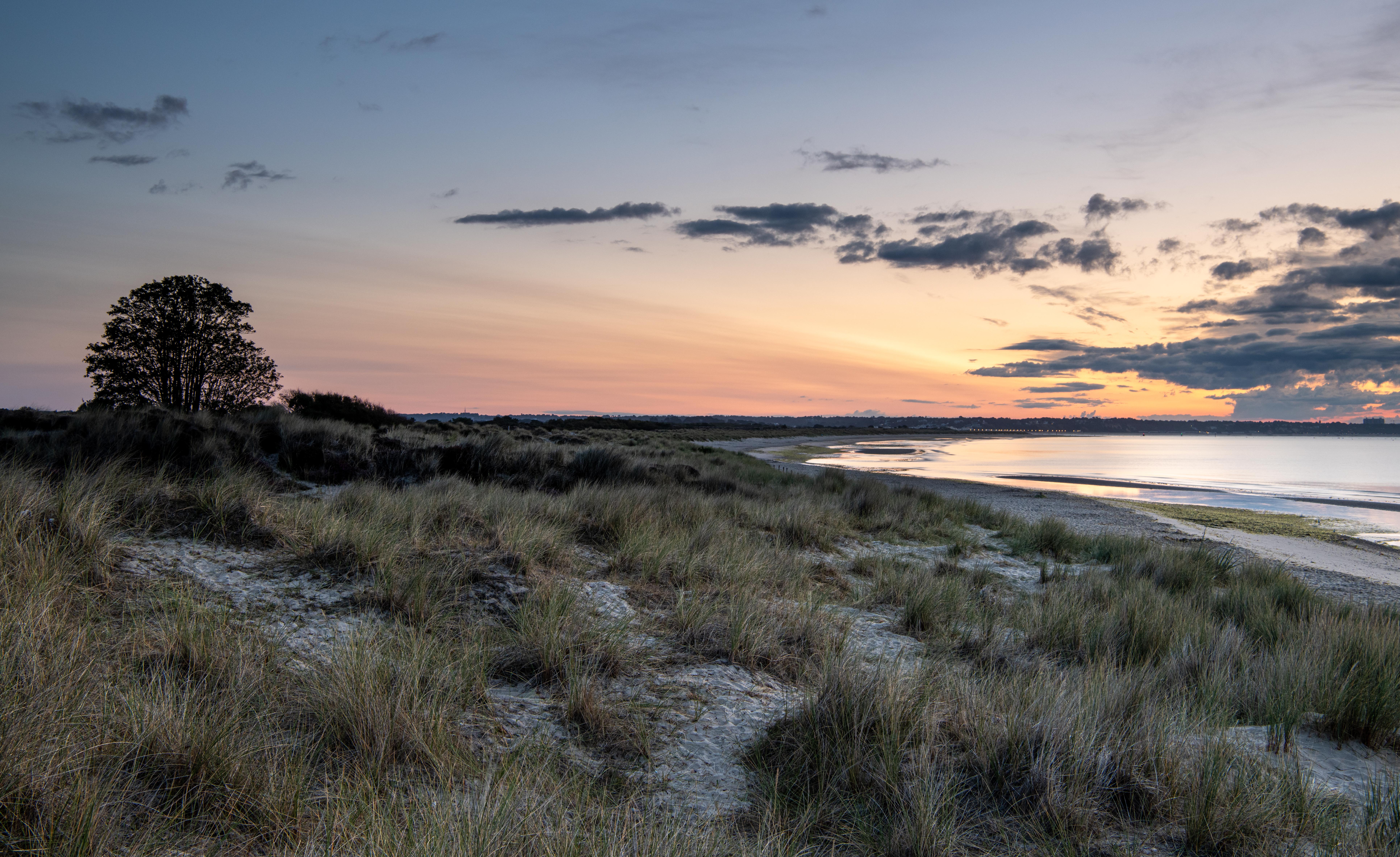 Studland Dunes