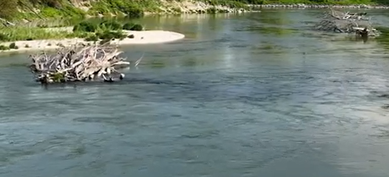 LIFE Flusserlebnis Isar, Restoration of the river Isar and its ...