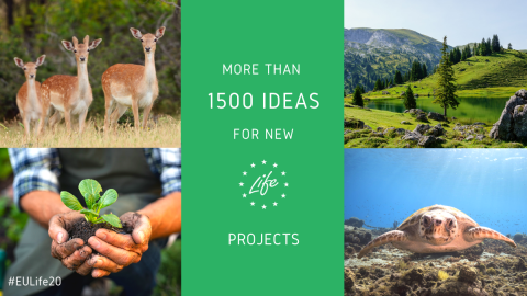 More than 1 500 ideas for new LIFE projects