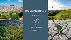 Climate Action Projects - 55% more proposals