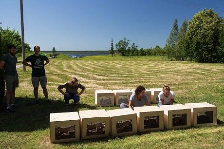 people with boxes in a field