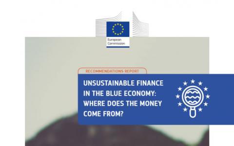 Unsustainable finance in the bue economy