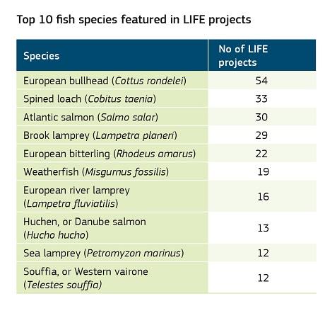 Top 10 fish species featured in LIFE projects