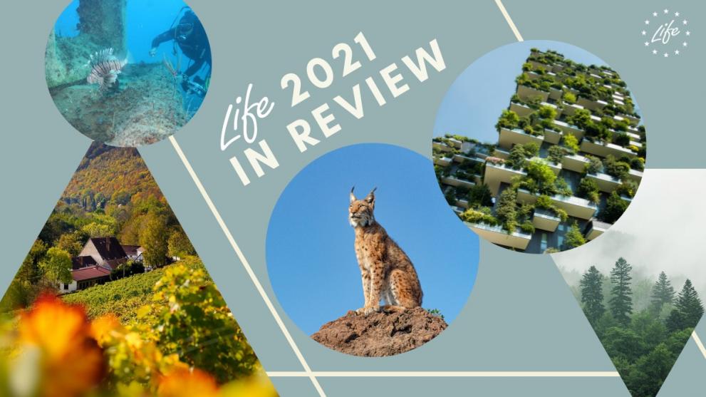 LIFE 2021 in review