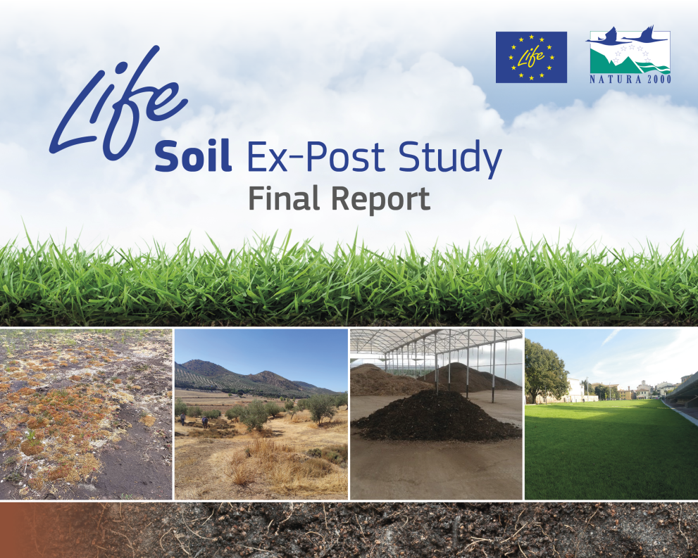 Soil Report