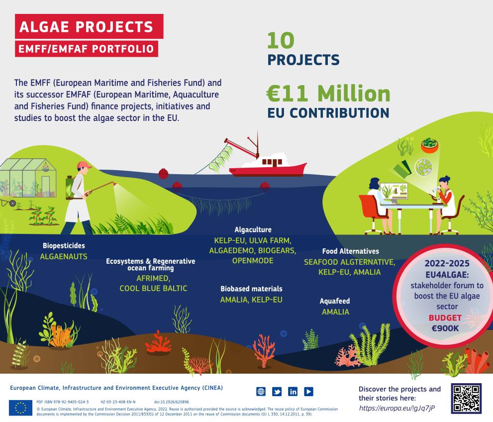 Algae projects funded under EMFF/EMFAF