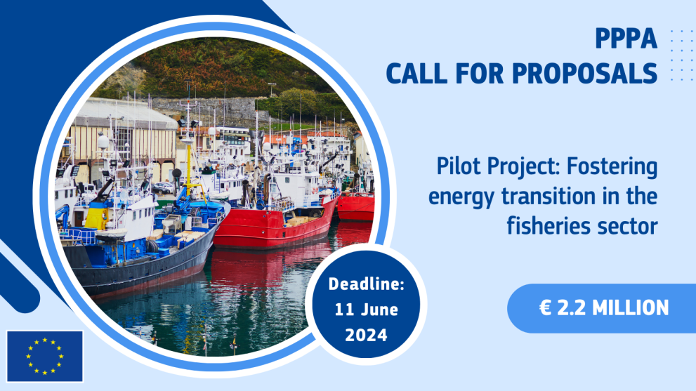A new Pilot Project call for proposals will foster energy transition in  fisheries