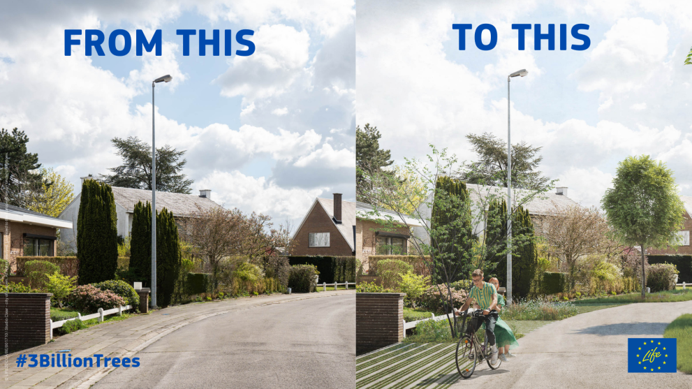 Image showing how the #3BillionTrees campaign has helped create greener cities.