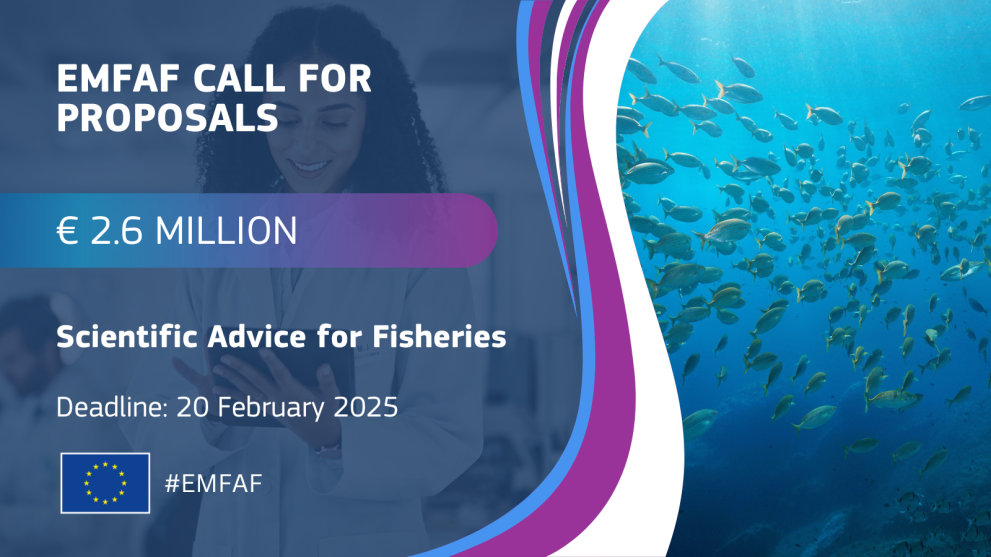 EMFAF Call 2024 Scientific Advice for Fisheries