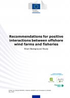 Recommendations for positive interactions between offshore wind farms and fisheries_1