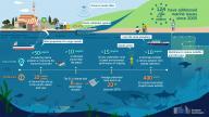 marine pollution infographic