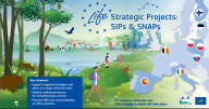 LIFE Strategic Projects SIPs & SNAPs thumbnail