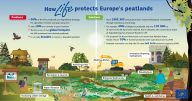 Peatlands infographic thumbnail