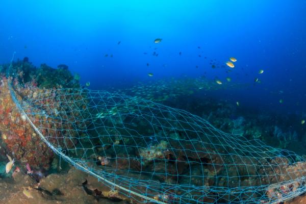 Abandoned ghost fishing net (shutterstock.com)