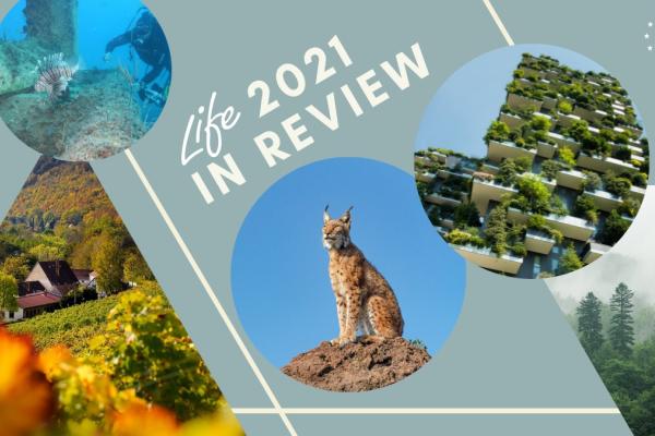 LIFE 2021 in review