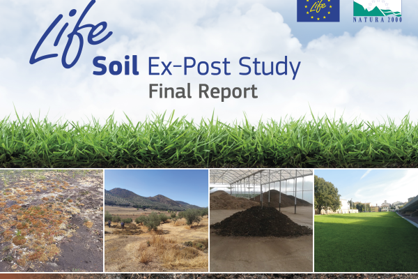 Soil Report