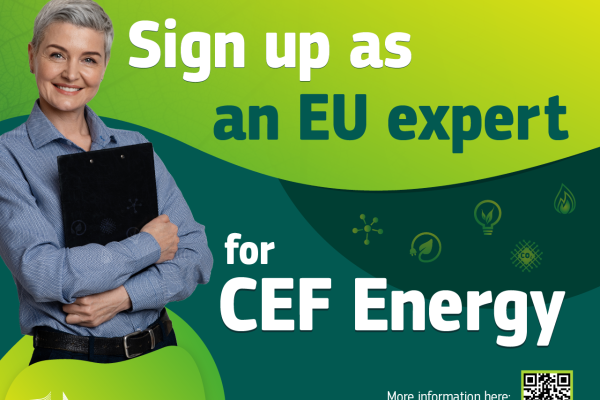 CEF Energy experts