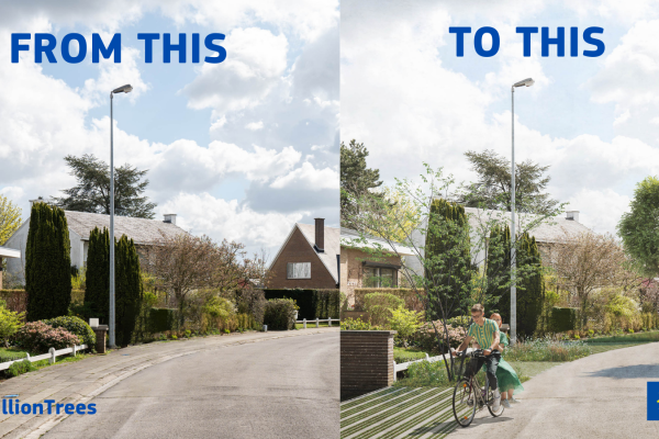Image showing how the #3BillionTrees campaign has helped create greener cities.