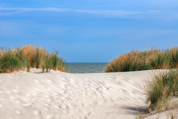 eMSP North Sea Dune sand beach