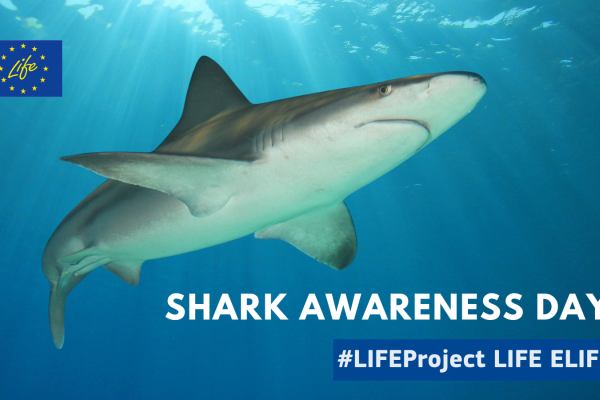 LIFE preserves marine life for Shark Awareness Day